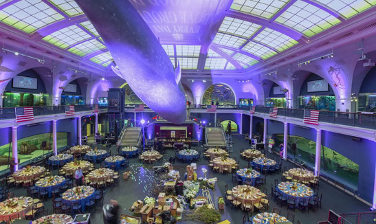 Andy Savin's 75th Birthday at the Museum of Natural History on December 4, 2021 Andy Sabin's 75th at the Museum of Natural History