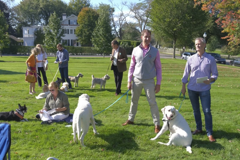Blessing of the Animals in East Hampton