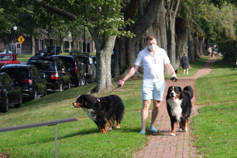 Blessing of the Animals in East Hampton