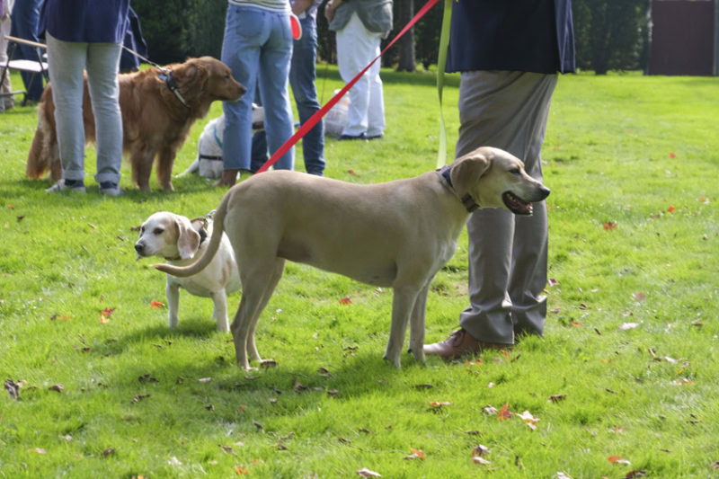 Blessing of the Animals in East Hampton