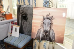 CTREE benefit at Sebonac