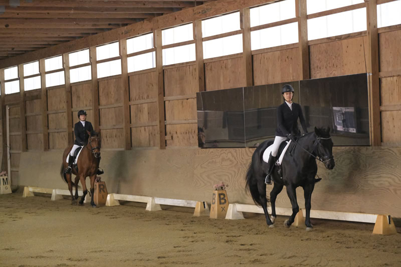 Dressage Hamptons 2021