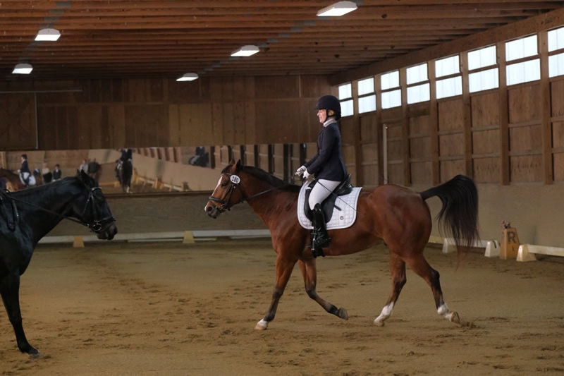 Dressage Hamptons 2021