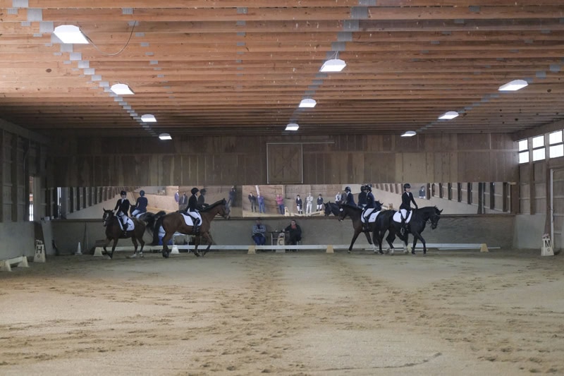 Dressage Hamptons 2021