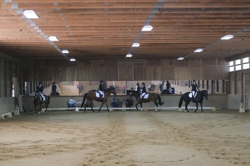 Dressage Hamptons 2021