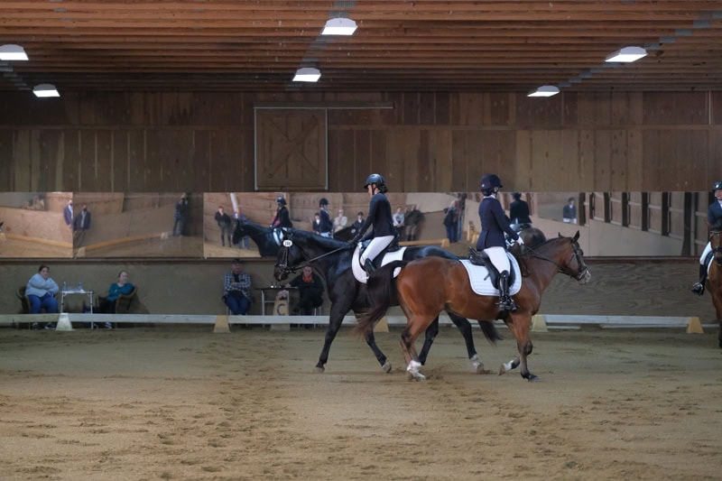Dressage Hamptons 2021