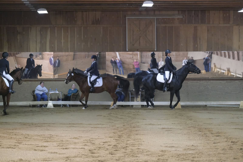 Dressage Hamptons 2021