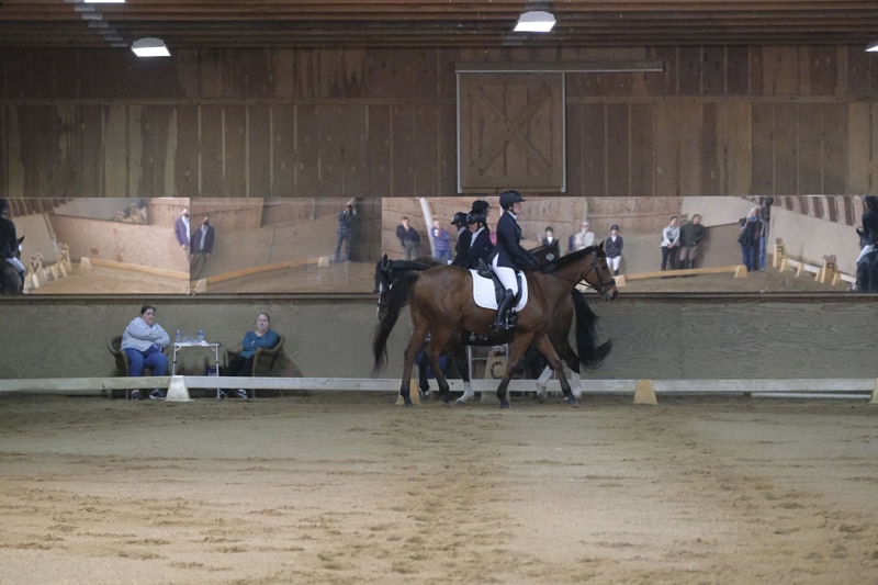 Dressage Hamptons 2021
