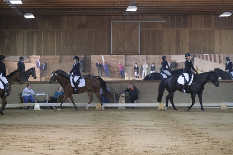 Dressage Hamptons 2021