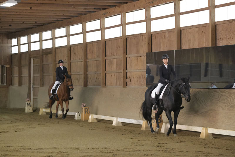 Dressage Hamptons 2021