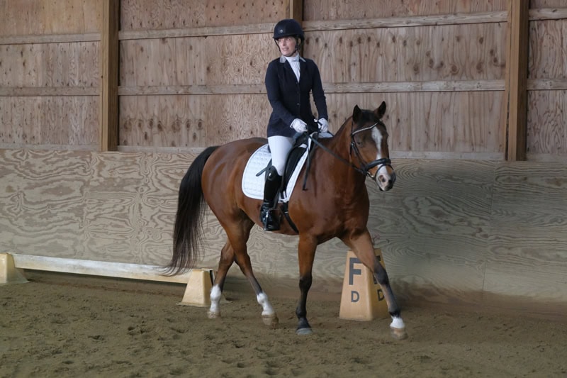 Dressage Hamptons 2021