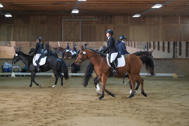 Dressage Hamptons 2021