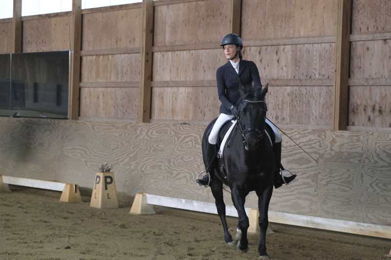 Dressage Hamptons 2021