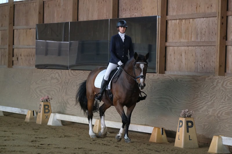 Dressage Hamptons 2021
