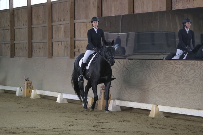 Dressage Hamptons 2021