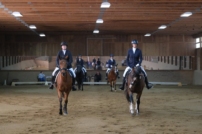 Dressage Hamptons 2021