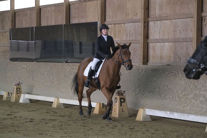 Dressage Hamptons 2021
