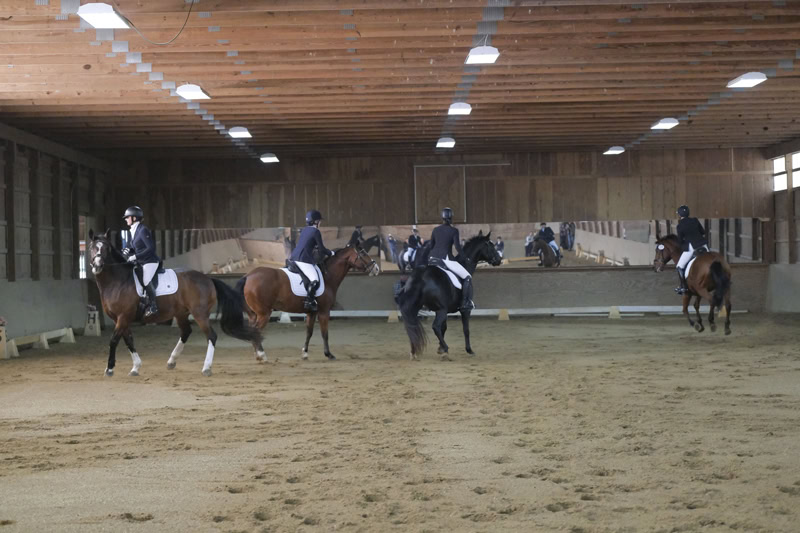 Dressage Hamptons 2021