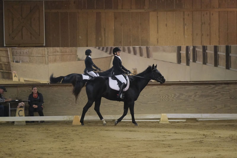 Dressage Hamptons 2021