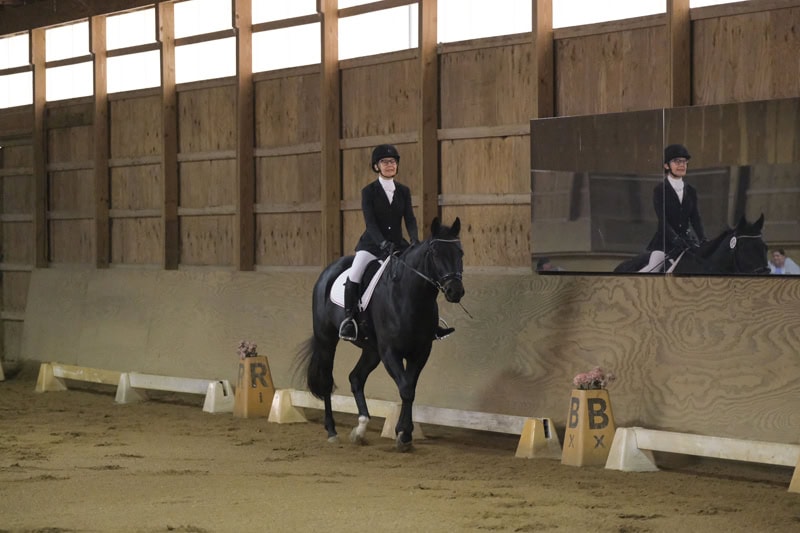 Dressage Hamptons 2021