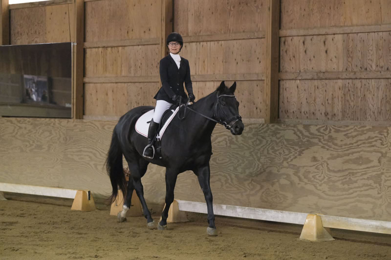 Dressage Hamptons 2021