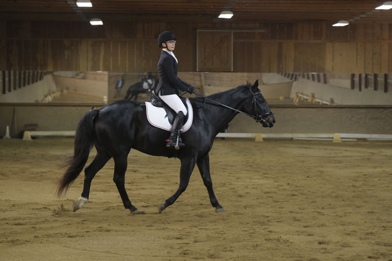 Dressage Hamptons 2021