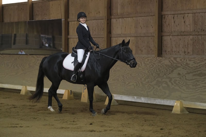 Dressage Hamptons 2021