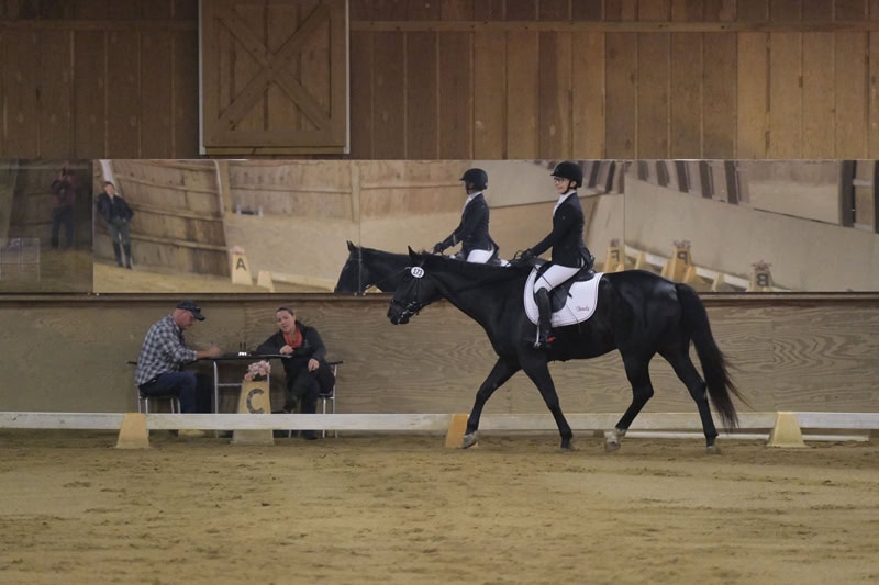 Dressage Hamptons 2021