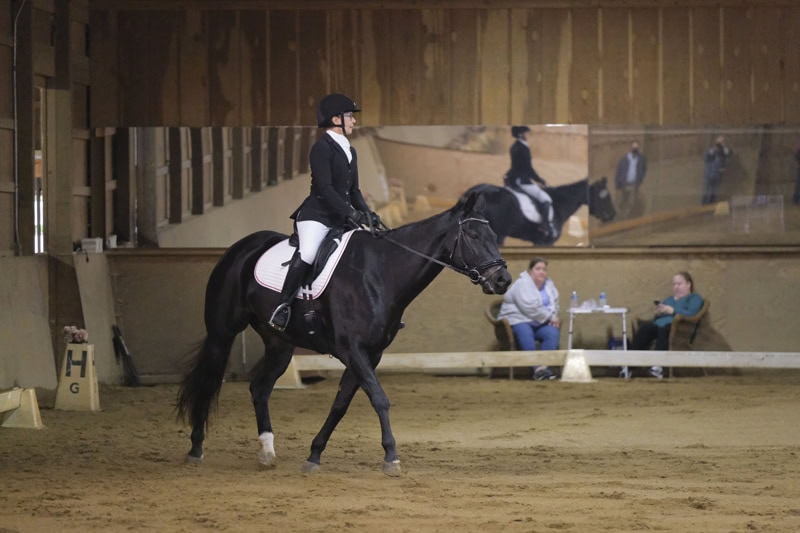 Dressage Hamptons 2021