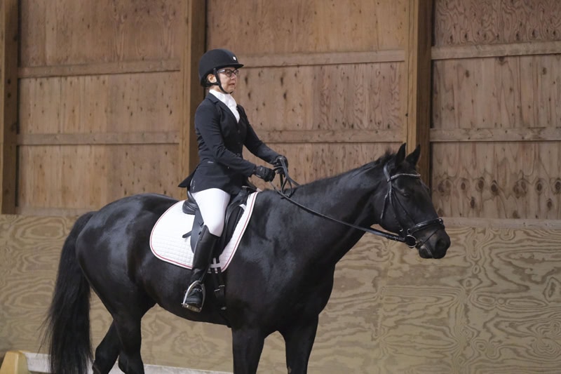 Dressage Hamptons 2021