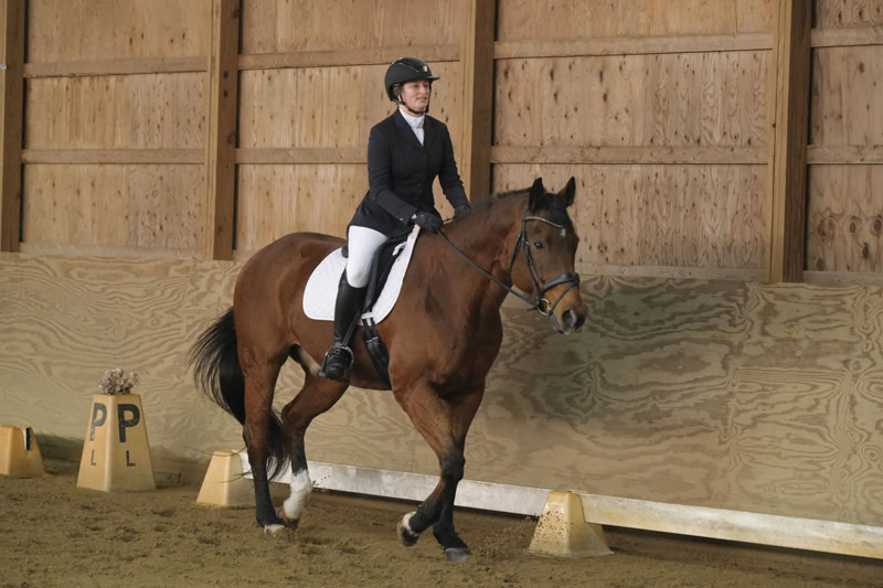 Dressage Hamptons 2021