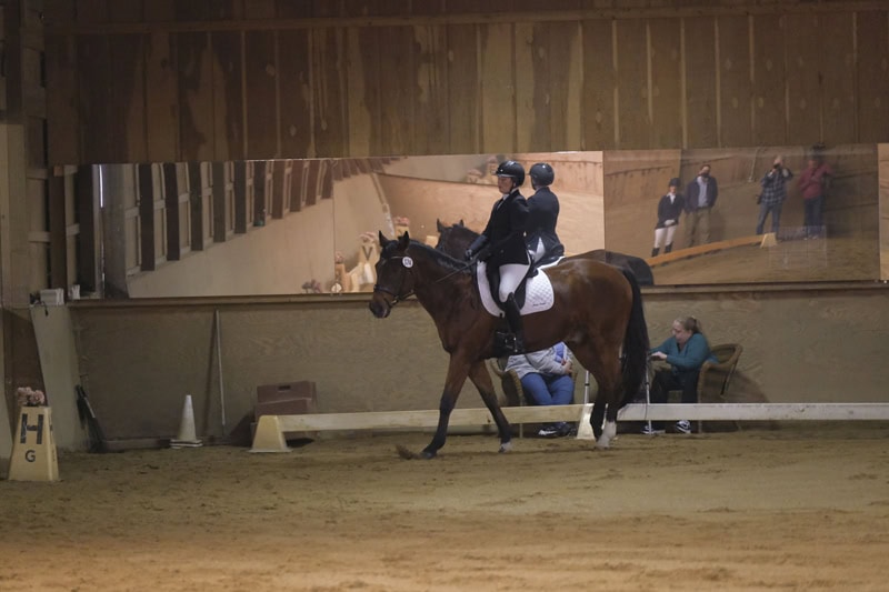 Dressage Hamptons 2021