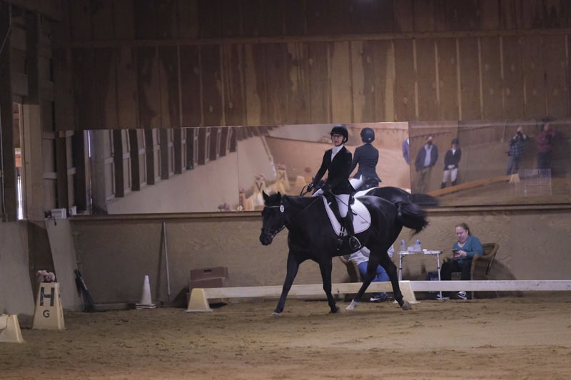 Dressage Hamptons 2021