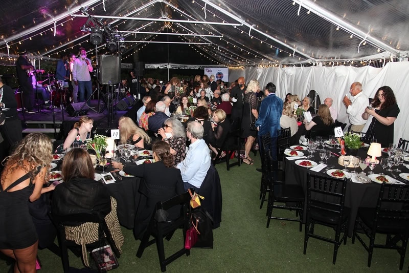 Ellen Hermanson Foundation Back to Black