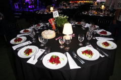 Ellen Hermanson Foundation Back to Black