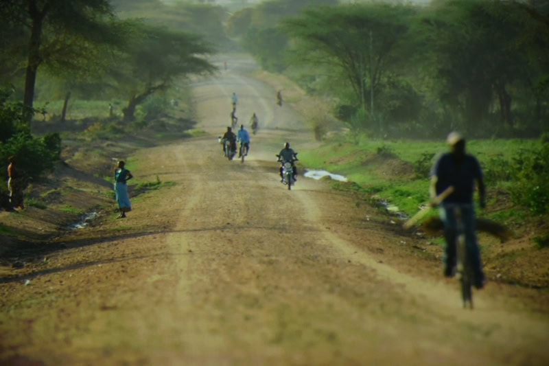 World Elephant & Lion Film Festival at Southampton Arts Center