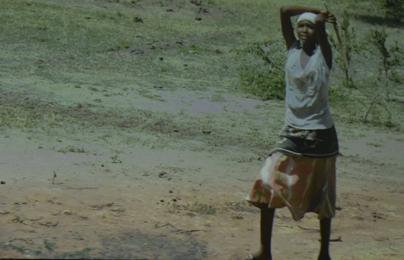 World Elephant & Lion Film Festival at Southampton Arts Center
