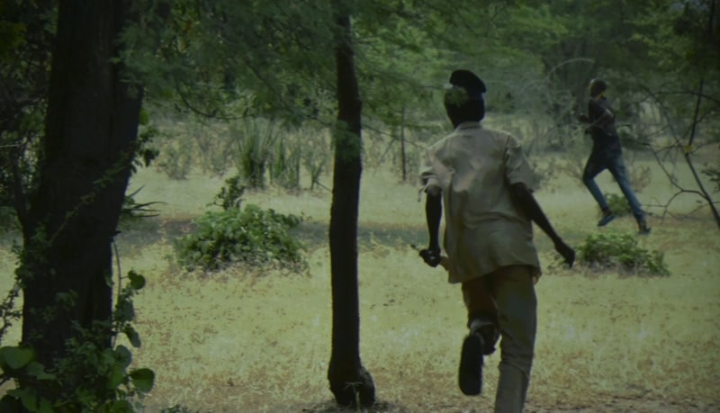 World Elephant & Lion Film Festival at Southampton Arts Center