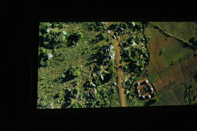World Elephant & Lion Film Festival at Southampton Arts Center
