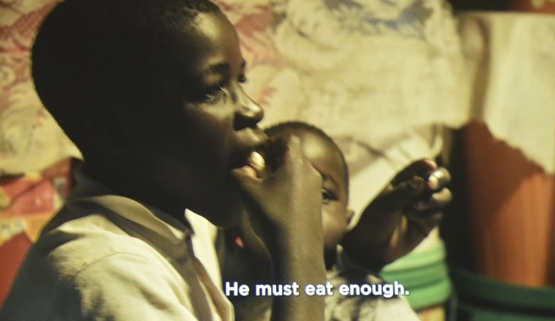 World Elephant & Lion Film Festival at Southampton Arts Center
