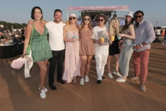 Palm Tree Music Festival 2021 Gabreski Airport Westhampton