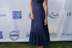 Stand Up for the Ocean at the Maidstone