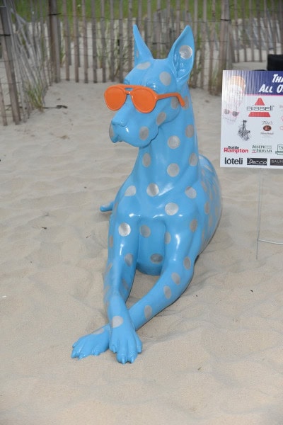Southampton Animal Shelter "So Fetch" Beach party