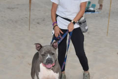 Southampton Animal Shelter "So Fetch" Beach party