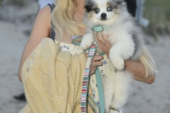Southampton Animal Shelter "So Fetch" Beach party
