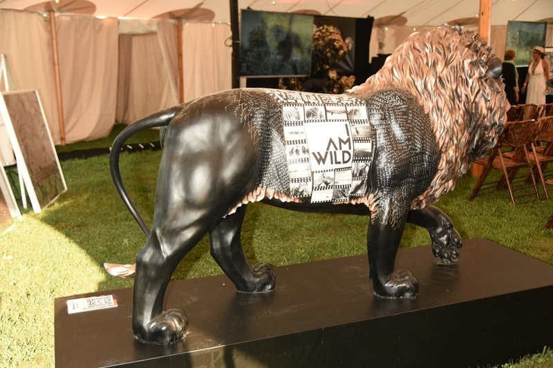 US TUSK LION TRAIL AUCTION