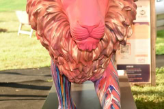US TUSK LION TRAIL AUCTION