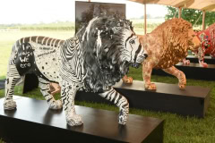 US TUSK LION TRAIL AUCTION