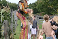 Wˆlffer Estate Annual Harvest Party 2021
