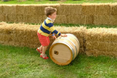 Wölffer Estate Annual Harvest Party 2021